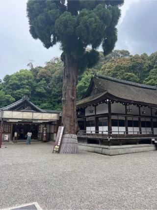 参集殿（大神神社境内）の参拝記録(⛩️🐍🐢まめ🐢🐍⛩️さん)