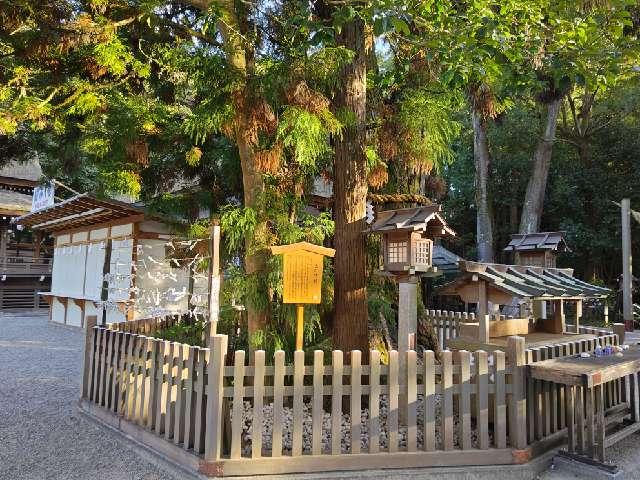 巳の神杉（大神神社境内）の参拝記録1