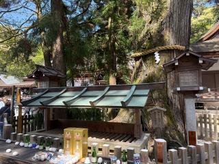 巳の神杉（大神神社境内）の参拝記録(あきちゃんさん)