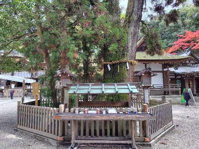 巳の神杉（大神神社境内）の参拝記録2