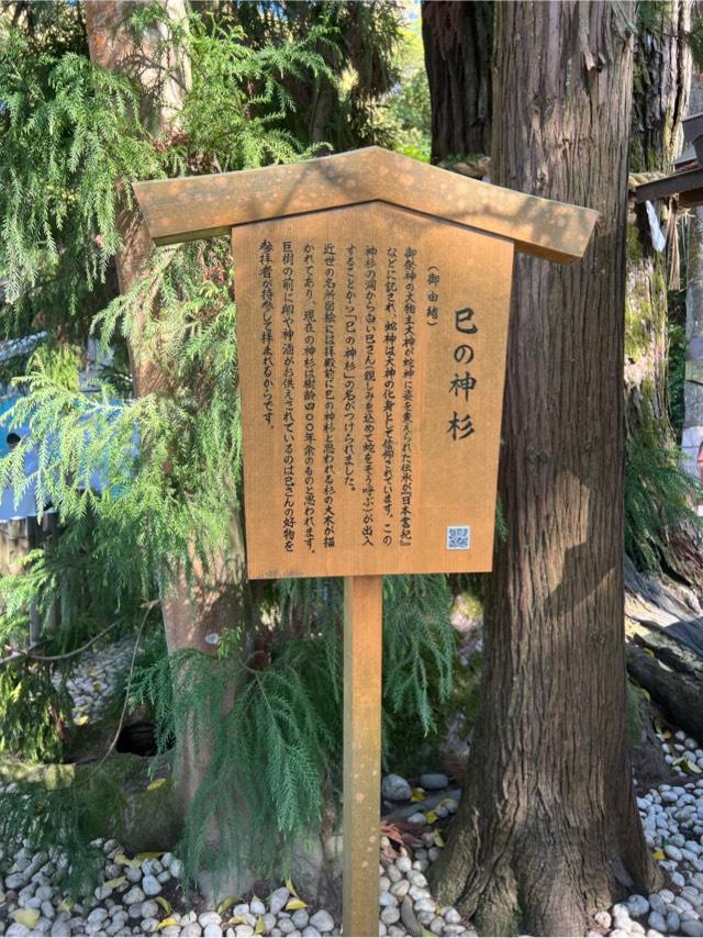 巳の神杉（大神神社境内）の参拝記録2