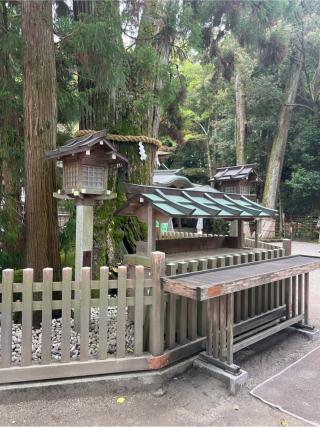 巳の神杉（大神神社境内）の参拝記録(⛩️🐍🐢まめ🐢🐍⛩️さん)