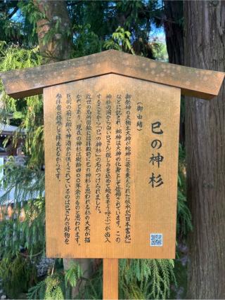 巳の神杉（大神神社境内）の参拝記録(⛩️🐍🐢まめ🐢🐍⛩️さん)