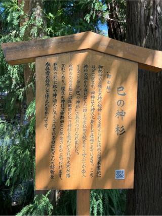 巳の神杉（大神神社境内）の参拝記録(⛩️🐍🐢まめ🐢🐍⛩️さん)