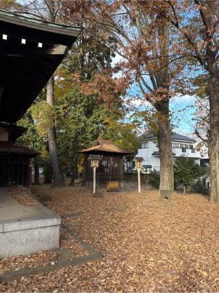 熊野神社境内社の参拝記録(⛩️🐍🐢まめ🐢🐍⛩️さん)
