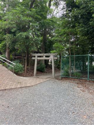 奥宮　霊石 影向石(大鳥大社境内)の参拝記録(⛩️🐍🐢まめ🐢🐍⛩️さん)
