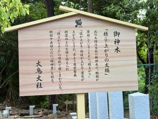 御神木 根上りの大楠(大鳥大社境内)の参拝記録(いけさん)