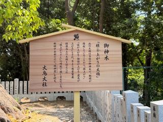 御神木 根上りの大楠(大鳥大社境内)の参拝記録(ブロディさん)