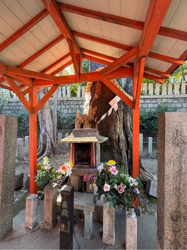 御神木(生國魂神社境内)の参拝記録1