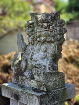 猫神社の参拝記録(たけちゃ～ん⚾さん)