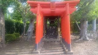 白浜稲荷神社の参拝記録(まっちゃんさん)