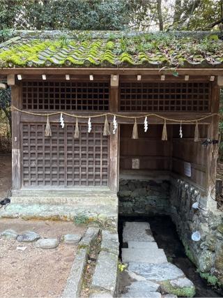 桐原水（宇治上神社境内）の参拝記録(⛩️🎠🐢まめ🐢🎠⛩️さん)