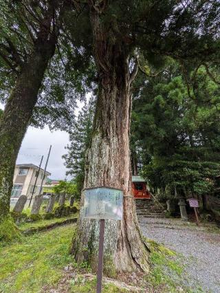 山の神（花石神社境内）の参拝記録(まーさんさん)