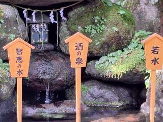 二荒霊泉（日光二荒山神社境内）の参拝記録(まーさんさん)