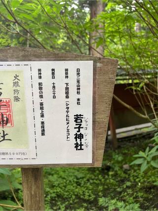 若子神社の参拝記録(⛩️🐉🐢まめ🐢🐉⛩️さん)