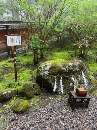 若子神社の参拝記録(⛩️🐍🐢まめ🐢🐍⛩️さん)