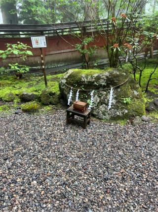 若子神社の参拝記録(⛩️🐍🐢まめ🐢🐍⛩️さん)
