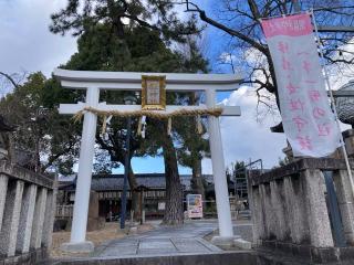 大幣殿（縣神社境内）の参拝記録(恭子さん)