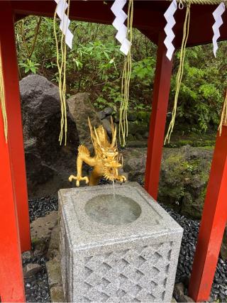 弁財天（日光二荒山神社境内社）の参拝記録(⛩️🐍🐢まめ🐢🐍⛩️さん)