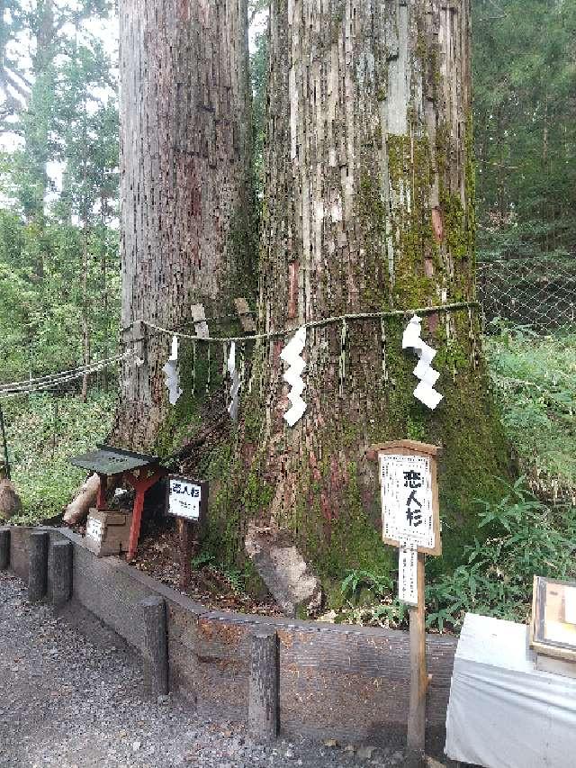 恋人杉（日光二荒山神社境内）の参拝記録(zx14rさん)