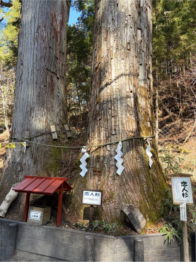 恋人杉（日光二荒山神社境内）の参拝記録3