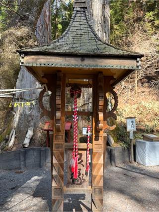 恋人杉（日光二荒山神社境内）の参拝記録(こーちんさん)