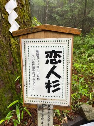 恋人杉（日光二荒山神社境内）の参拝記録(⛩️🐍🐢まめ🐢🐍⛩️さん)
