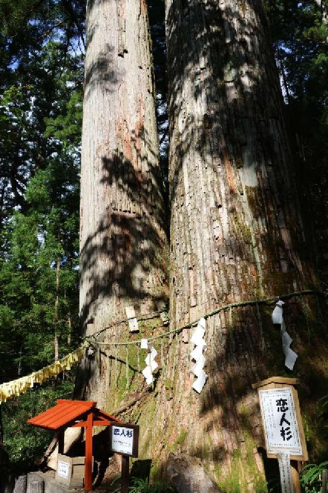 恋人杉（日光二荒山神社境内）の参拝記録3