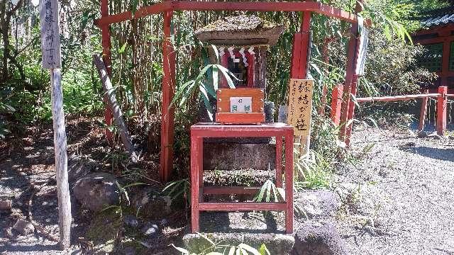 縁結びの笹（日光二荒山神社境内）の参拝記録3