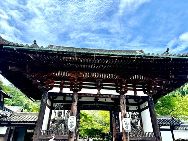大本山 石山寺の写真1