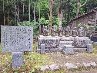 誓正山 茶湯殿 涅槃寺(茶湯寺)の参拝記録(✩とーちゃん✩さん)