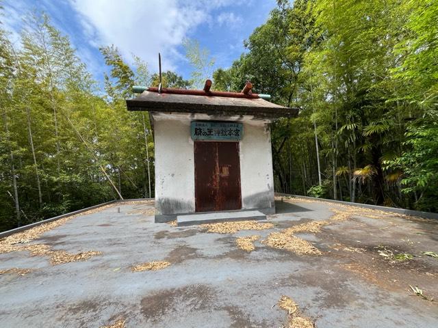 大阪府大東市野崎3-18-17 臍の王神社の写真8