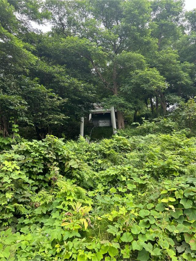 春日高台神社の写真1