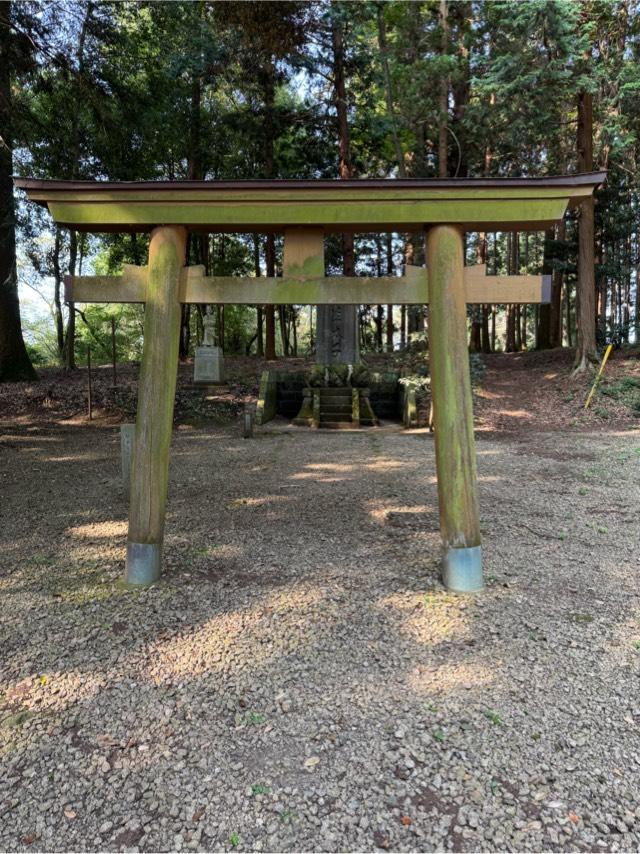 聖徳太子像（大田原神社境内）の参拝記録1