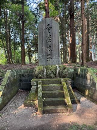 聖徳太子像（大田原神社境内）の参拝記録(こーちんさん)