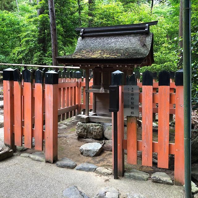 白髭神社の参拝記録1