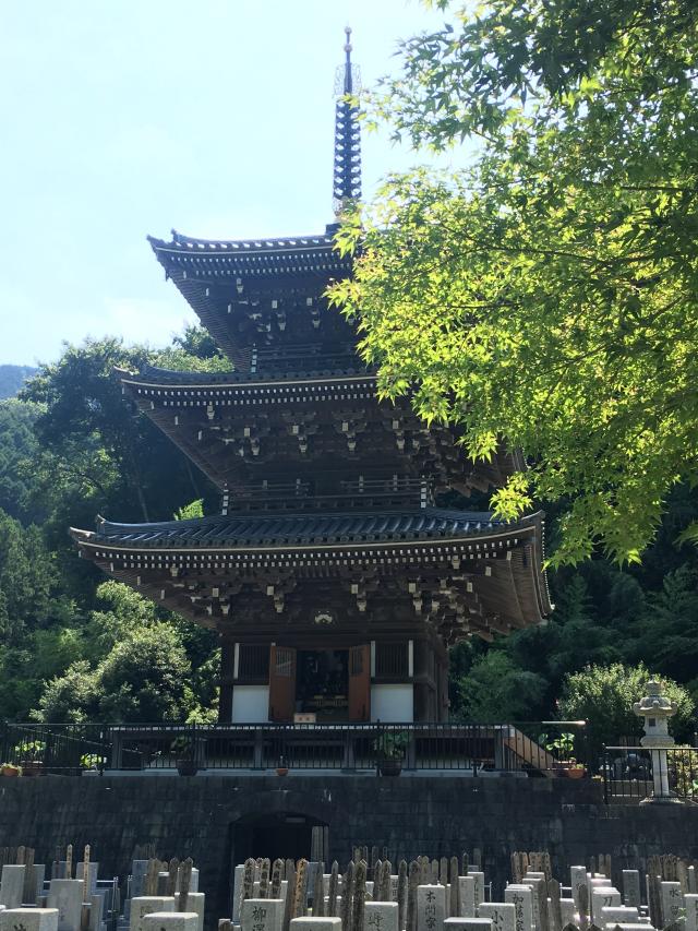 神奈川県伊勢原市日向1816 無常山 一之澤院 浄発願寺の写真3