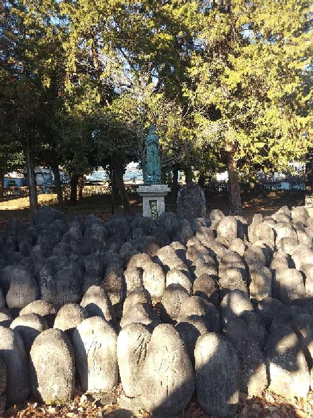 栃木県足利市家富町2220 分福観音（鑁阿寺）の写真2