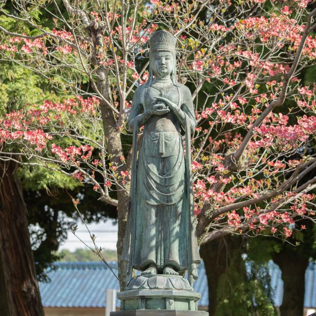 分福観音（鑁阿寺）の写真1