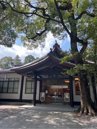 明治神宮　客殿の参拝記録(⛩️🐍🐢まめ🐢🐍⛩️さん)