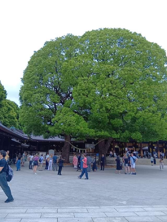 明治神宮　神楽殿の参拝記録2