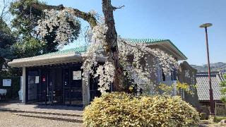 金谷山 大明寺の参拝記録(千箇寺さん)
