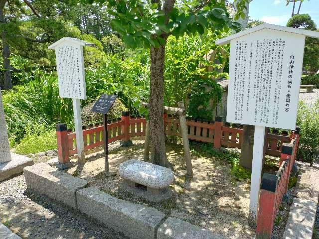 歯の神さま(白山神社)の写真1