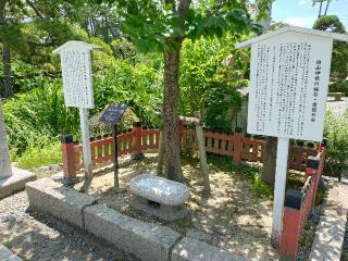 歯の神さま(白山神社境内)の参拝記録(yukiさん)