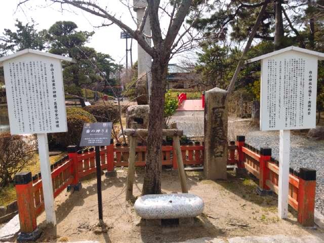 歯の神さま(白山神社境内)の参拝記録3