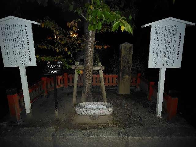 歯の神さま(白山神社境内)の参拝記録2