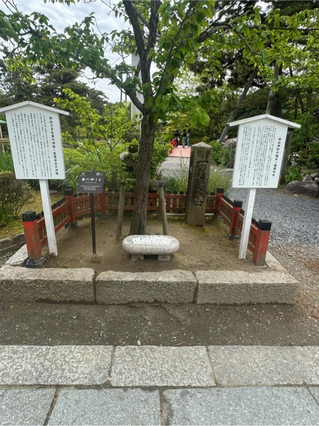 歯の神さま(白山神社境内)の参拝記録2
