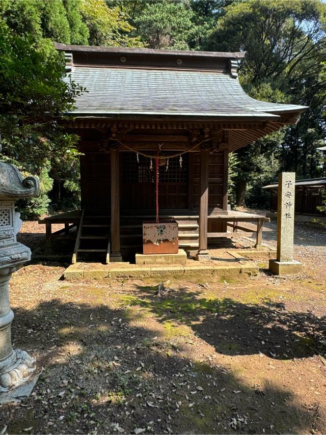 茨城県高萩市高萩1174 子安神社の写真1