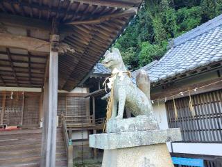 積稲荷神社の参拝記録(飛成さん)