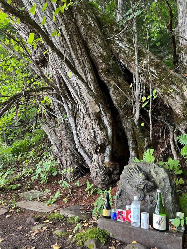 北海道川上郡弟子屈町屈斜路 龍の祠の写真1